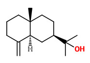 β-eudesmol 
