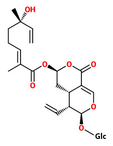  menthiafolin 