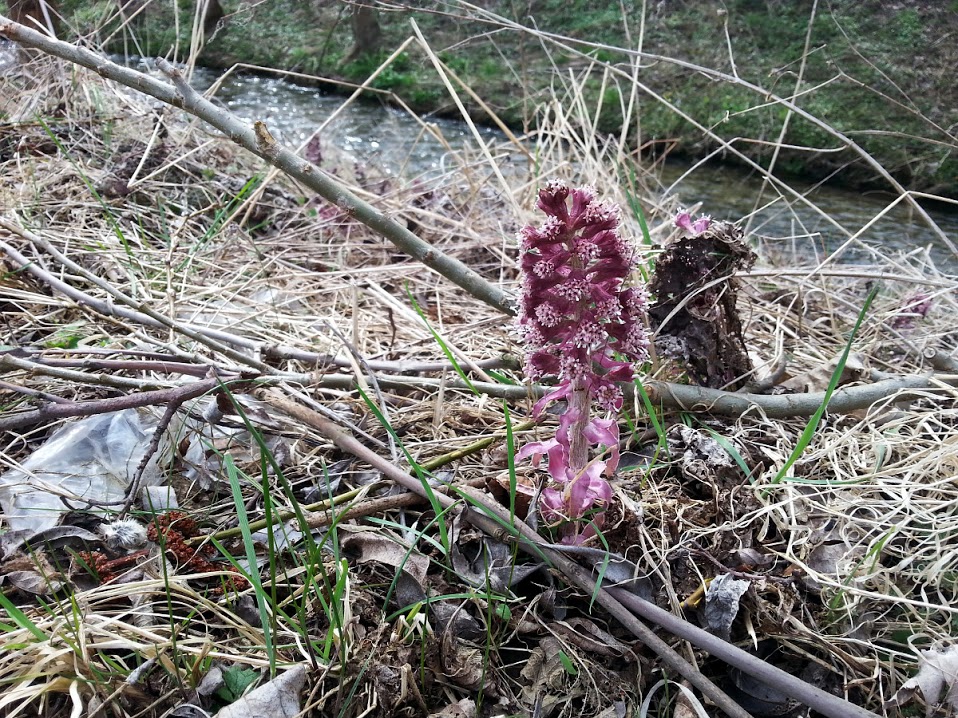 ASCII   �;    7       �  6  ~    4xV4xV4xV4      0 _ c�w �      ���$     �                         ��                                                                                                                                                                                                                  C A L BHFJ02    Cur.BHFJ02CML 018001001509002901090E5C010D011601160967� 71 �&      T U N A  �� ���q    I� M� :.��y  I��/ 8����  �M��
�   FLFL SVN#g	                                                                                                                   �    �� d�]d	 �	Z	�)                        C�7                                                    H  h � �            ��  8                                                                                                                                                                                                                                                               JKJK\��  �  E�  ��  ��    dX     �     �         �q    {� �q    I� M� :.��y  I��/ 8����  �M��
� JKJKQ3 A" 1" 1" 1" 1" 1" A" A" 1" 1" 1" 1" 1" 1" 1" Q3 Q3 A" A" 1" 1" 2w 1" 1" 1" A" A" 1" 1" 1" A" Q3 A" Q3 A" 1" A" 1" A" A" A" 1" 1" 2w 1" 1" A" Q3 Q3 Q3 Q3 A" Q3 A" A" Q3 Q3 Q3 Q3 A" 1" 1" 1" Q3 Q3 A" A" Q3 Q3 Q3 Q3 Q3 �   Q3 Q3 A" A" A" Q3 Q3 Q3 A" Q3 Q3 Q3 Q3 Q3 a�	 �   a�	 a�	 Q3 A" A" A" Q3 Q3 A" Q3 Q3 Q3 Q3 Q3 `   �   p   a�	 Q3 Q3 A" Q3 Q3 A" Q3 Q3 Q3 Q3 Q3 Q3 a�	 �   p   P3 Q3 Q3 Q3 Q3 Q3 Q3 Q3 Q3 Q3 Q3 Q3 Q3 Q3 �   a�	 Q3 Q3 A" A" Q3 Q3 @" @" A" Q3 Q3 Q3 R   R   �   a�	 A" A" A" Q3 Q3 @" 0 A" 1" A" Q3 Q3 R   b   �   a�	 Q3 A" A" A" Q3 @" A" Q3 Bw 1" Bw A" 1" A" p   Q3 R   Q3 Q3 Q3 A" Q3 R   R   R   1" 2w Q3 A" A" Q3 A" Q3 Q3 Q3 A" A" Bw R   R   Bw 2w 2w A" A" 1" Q3 Q3 Q3 Q3 Q3 A" A" R   R   Bw Bw Bw Bw R   R   R   Q3 Q3 Q3 Q3 Q3 Q3 A" R   R   Q3 A" A" R   R   R   Q3 Q3 Q3 Q3 Q3 P3 Q3 Q3 JKJK            y �  �� g   _�                                     �   �L �i ��  tL                         �q .  Ï �q .  Ï �q .  Ï �q .  Ï                                                                                                                                                                                                                                                                                           ) AFAF   �)   w  ��  }l    �  .w  x4( 
 (  �7  �7  vF  ?F  }Z  ��Z  ��n  �n  ���  �ς  �� �o  ��                                                                                                                  AFAF Q BH0 k �AFAF                                                                                                                                                                                                                                                                                                                                       ް�        P...