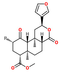salvinorinab.jpg